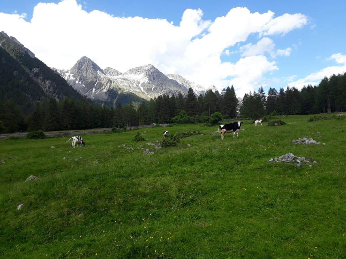 Vila Unterreinischhof Anterselva di Mezzo Exteriér fotografie