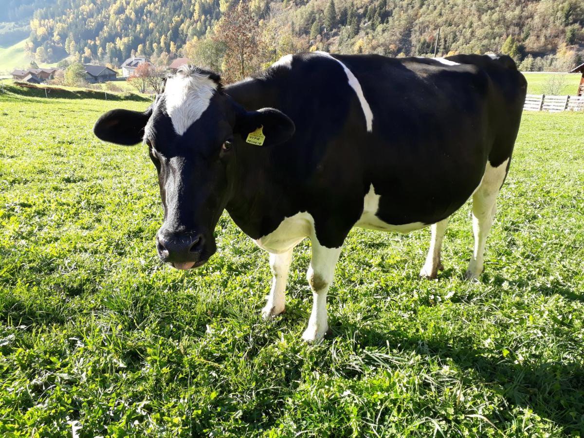 Vila Unterreinischhof Anterselva di Mezzo Exteriér fotografie