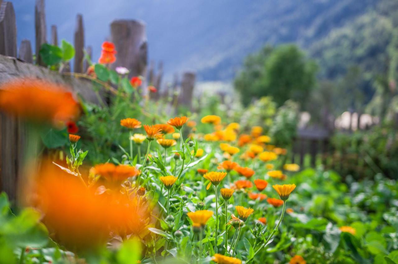 Vila Unterreinischhof Anterselva di Mezzo Exteriér fotografie